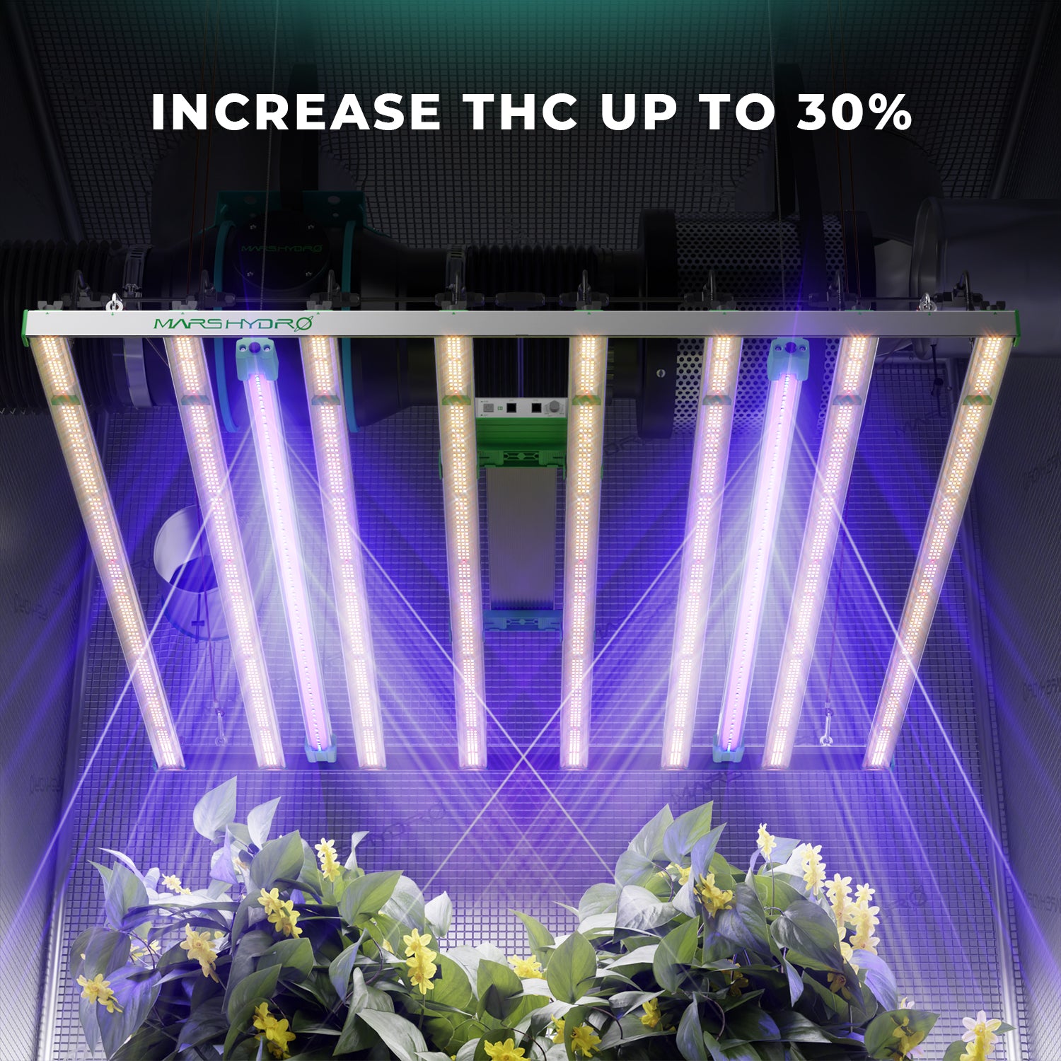 Mars Hydro adlite UV55 groeilamp 30% meer THC ontwikkeling