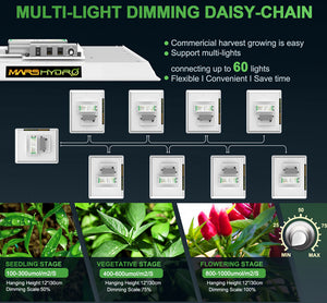 Mars Hydro TS 1000 daisy chain