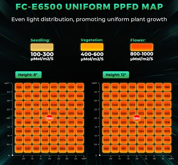 Mars Hydro FC-E 6500 groeilamp ppfd map