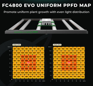 Mars Hydro FC 4800 EVO groeilamp PPFD map