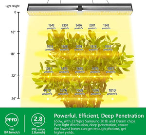 Mars Hydro SP 6500 licht penetratie